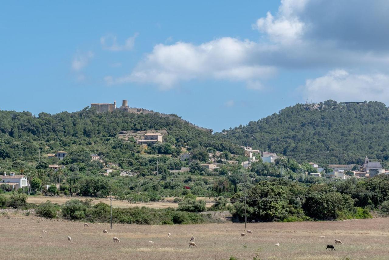 Sa Sinia